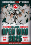 International shinkyokushinkai karate tournament «BELARUS OPEN WKO»